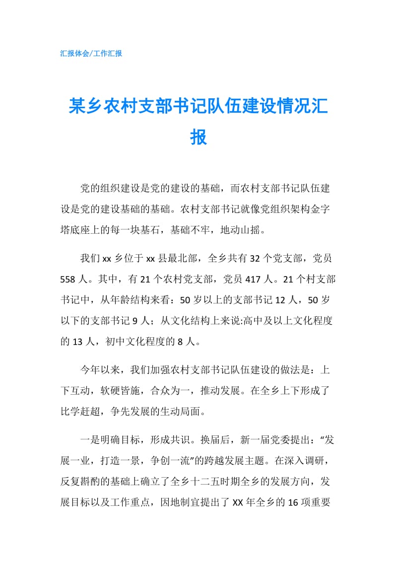 某乡农村支部书记队伍建设情况汇报.doc_第1页