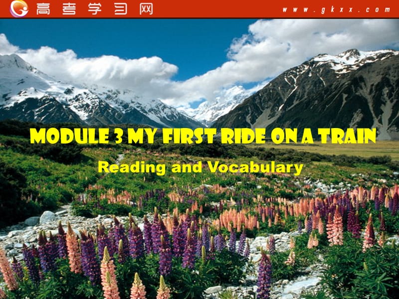 高一英语备课《Module 3 My First Ride on a Train》Reading,Vocabulary课件7 外研版必修1_第1页