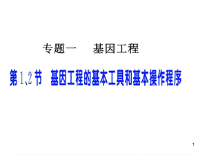 選修3基因工程的基本工具和基本操作程序ppt課件