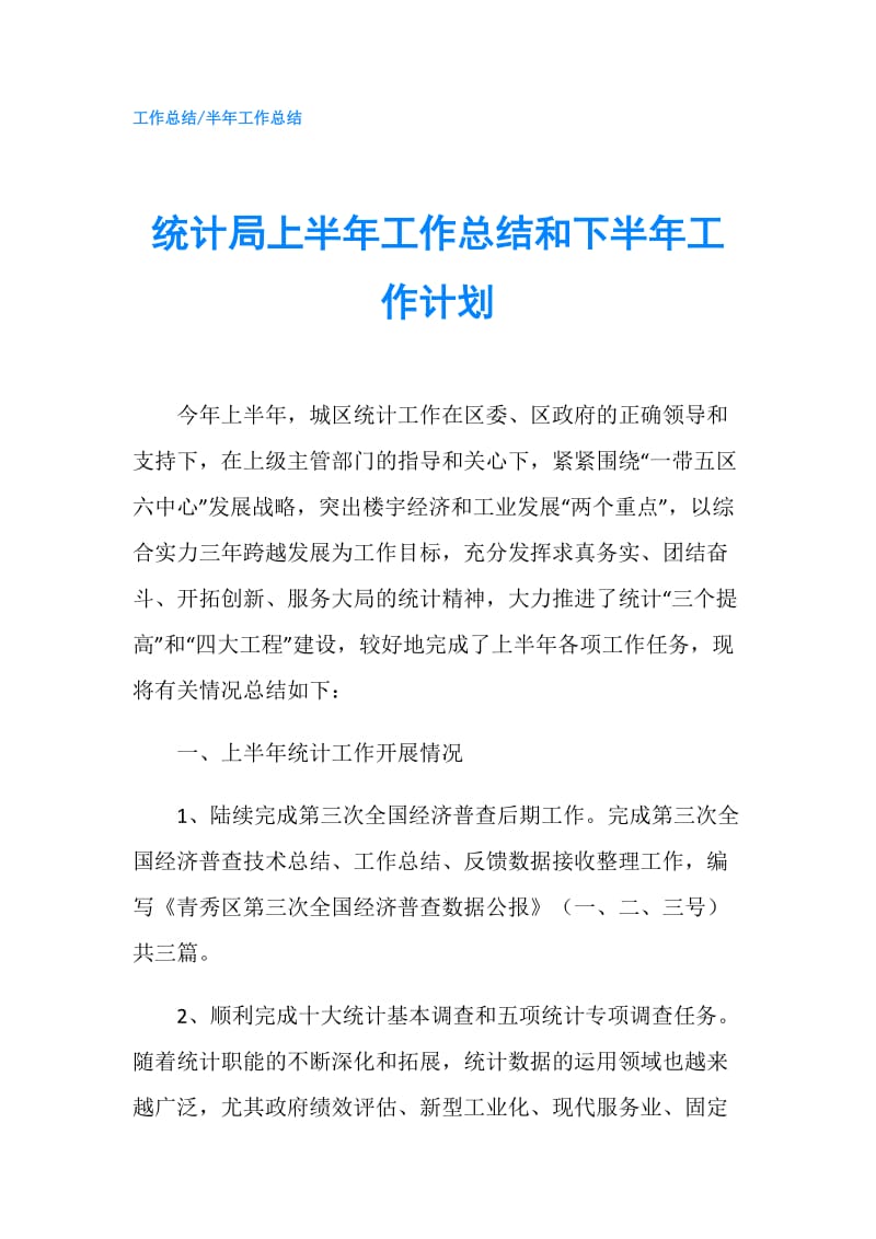 统计局上半年工作总结和下半年工作计划.doc_第1页