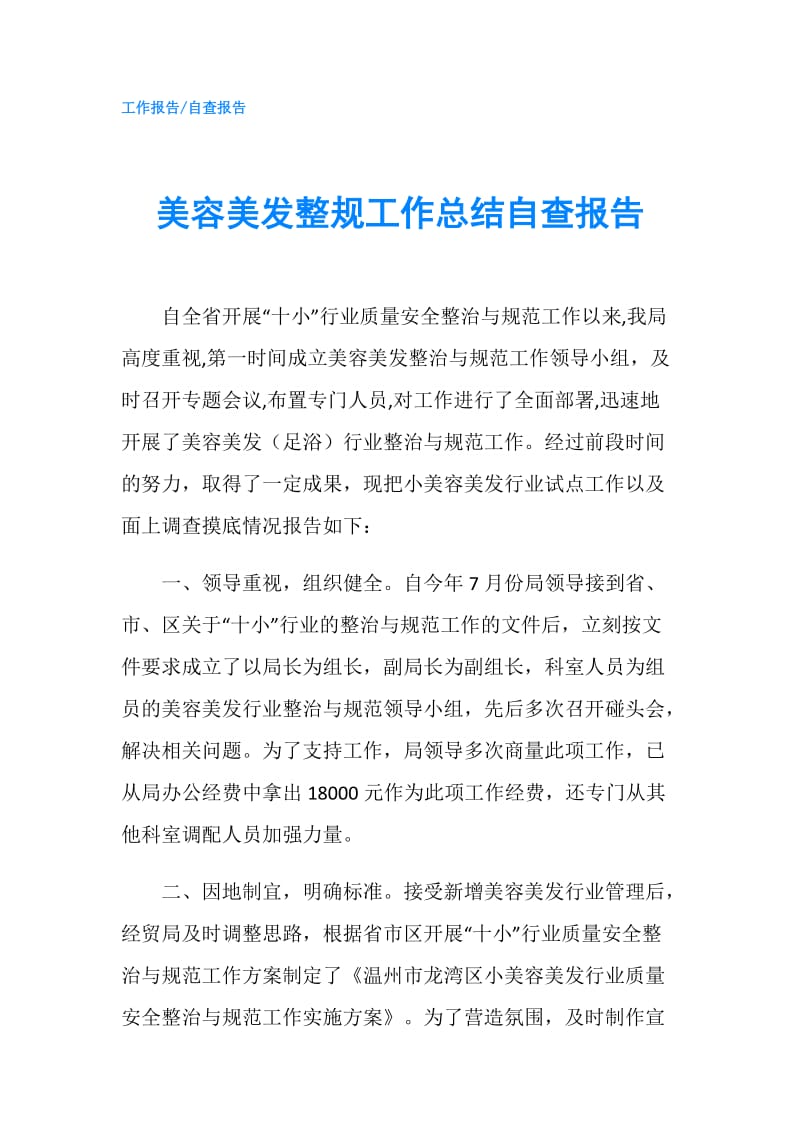 美容美发整规工作总结自查报告.doc_第1页