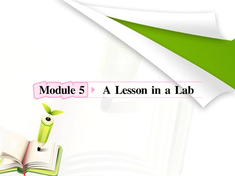 高考英语外研版必修1Module5《A Lesson in a Lab》知识与要点_第1页