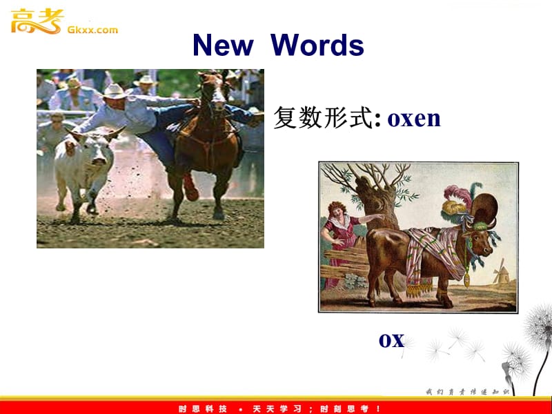 高二英语 新人教版选修7 unit 4《Sharing》 Using Language 教学课件_第2页