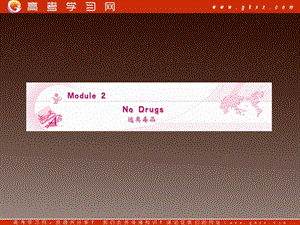 高二英語備課《Module 2 No Drugs》課件3 外研版必修2