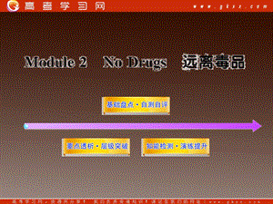 高一英語單元復(fù)習(xí)配套課件：Module2《No Drugs》 （外研版必修2）