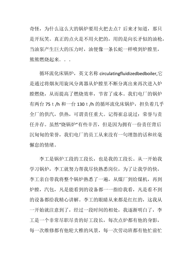 电厂锅炉工作学习总结.doc_第2页