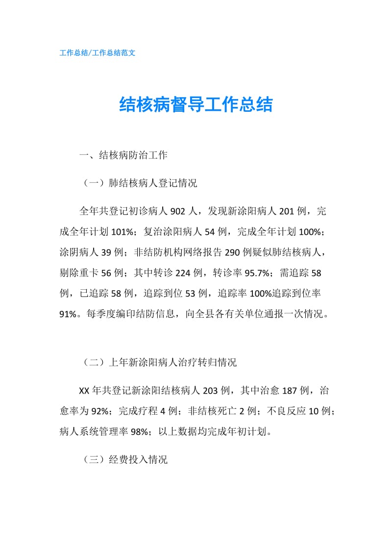 结核病督导工作总结.doc_第1页