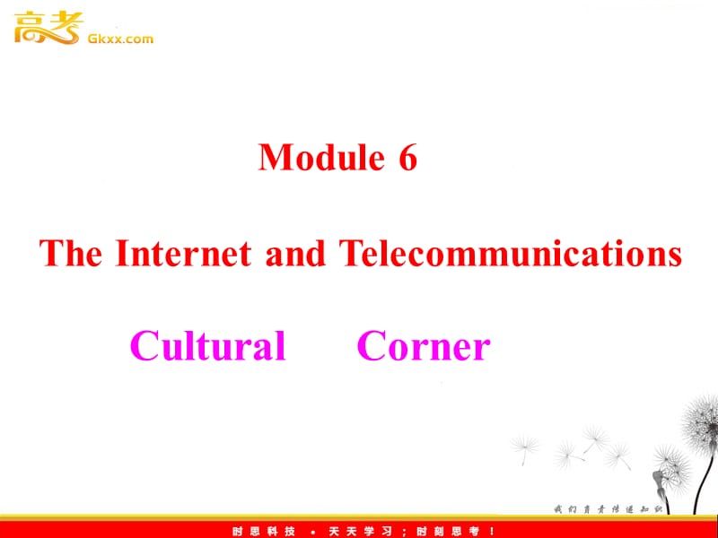 高中英语 Module6《The Internet and Telecommunications》Corner 课件外研版必修1_第1页