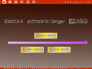 高二英語單元復(fù)習(xí)配套課件：Module6《Animals in Danger》 （外研版必修5）