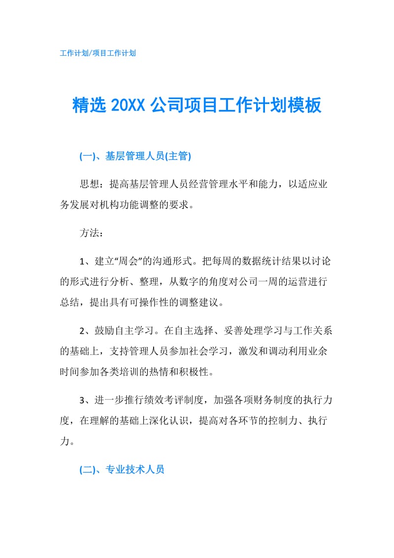 精选20XX公司项目工作计划模板.doc_第1页