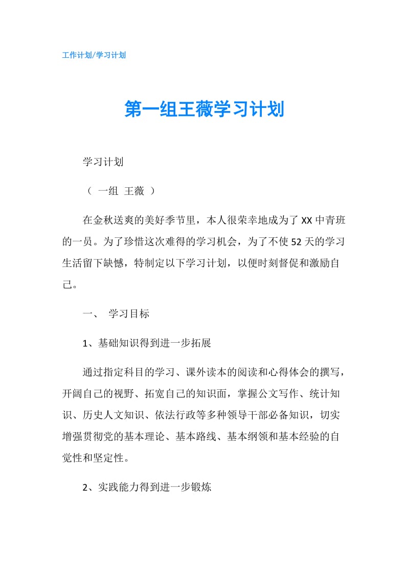 第一组王薇学习计划.doc_第1页