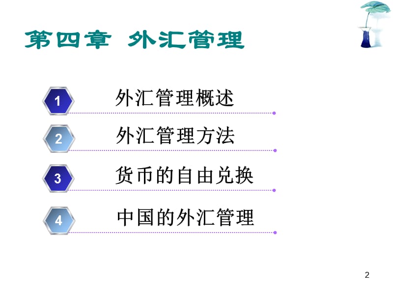 外汇管理ppt课件_第2页