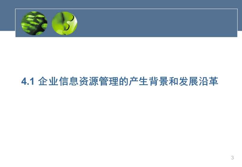 企业信息资源管理ppt课件_第3页