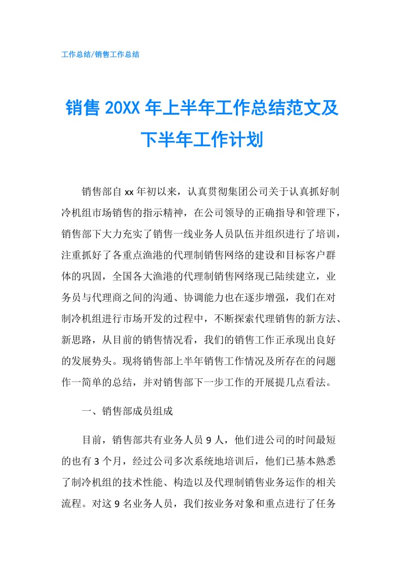 销售20XX年上半年工作总结范文及下半年工作计划.doc_第1页