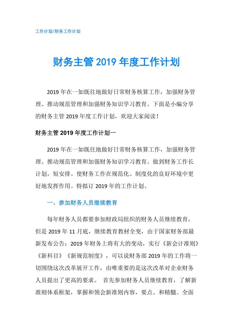 财务主管2019年度工作计划.doc_第1页