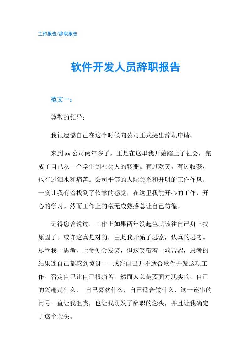 软件开发人员辞职报告.doc_第1页