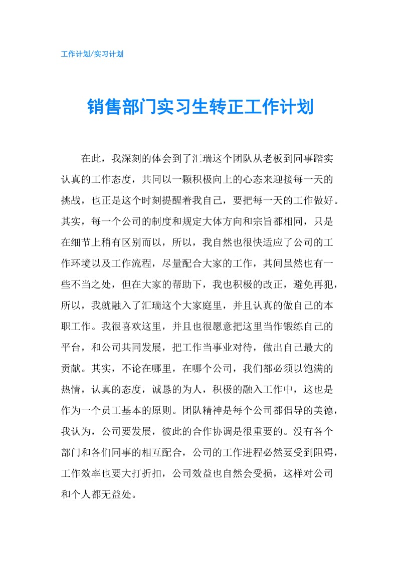 销售部门实习生转正工作计划.doc_第1页