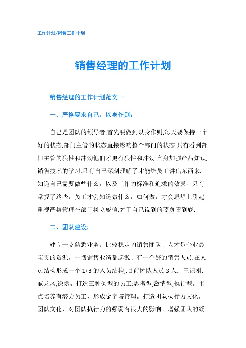 销售经理的工作计划.doc_第1页