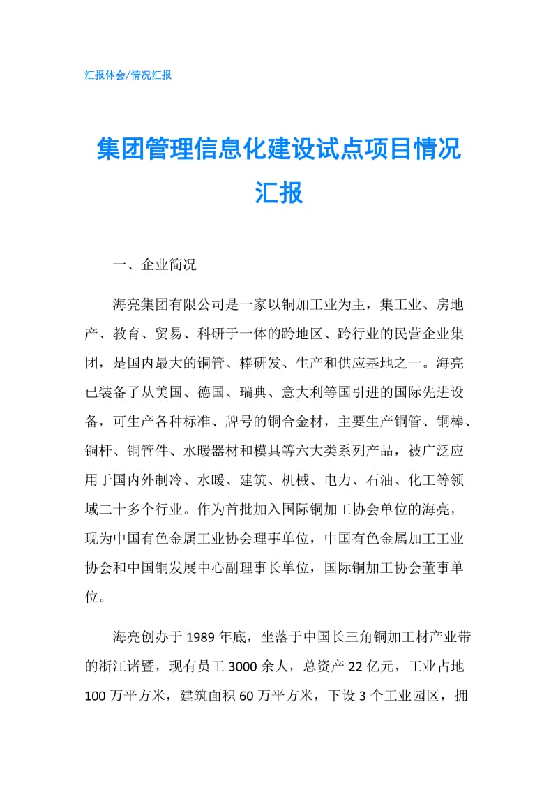 集团管理信息化建设试点项目情况汇报.doc_第1页