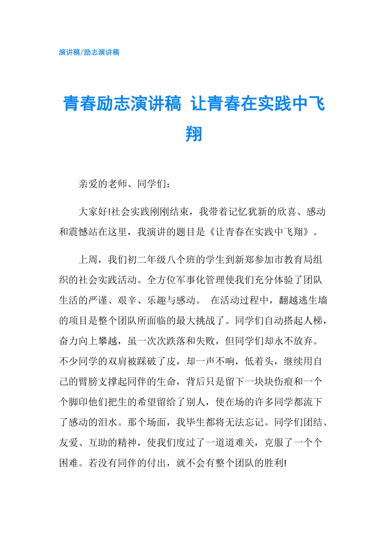 青春励志演讲稿 让青春在实践中飞翔.doc_第1页