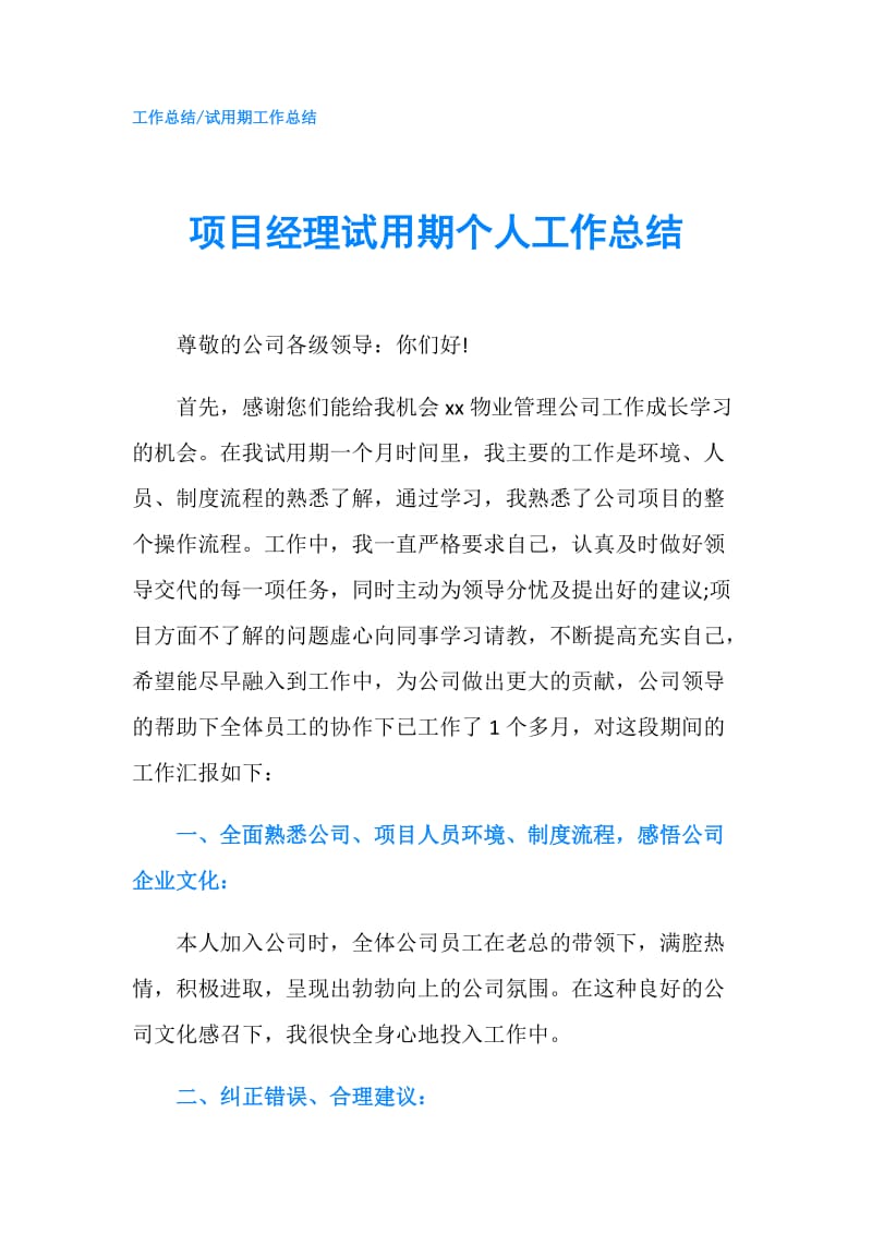 项目经理试用期个人工作总结.doc_第1页