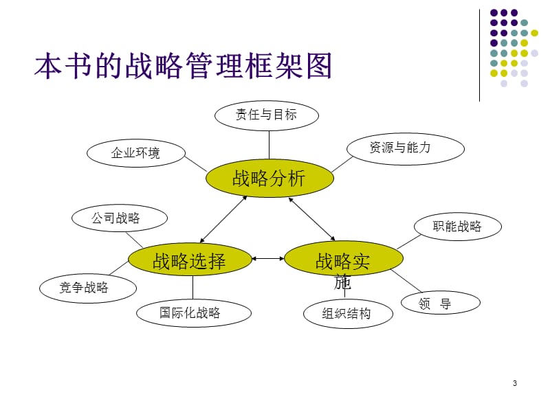 战略管理概论ppt课件_第3页