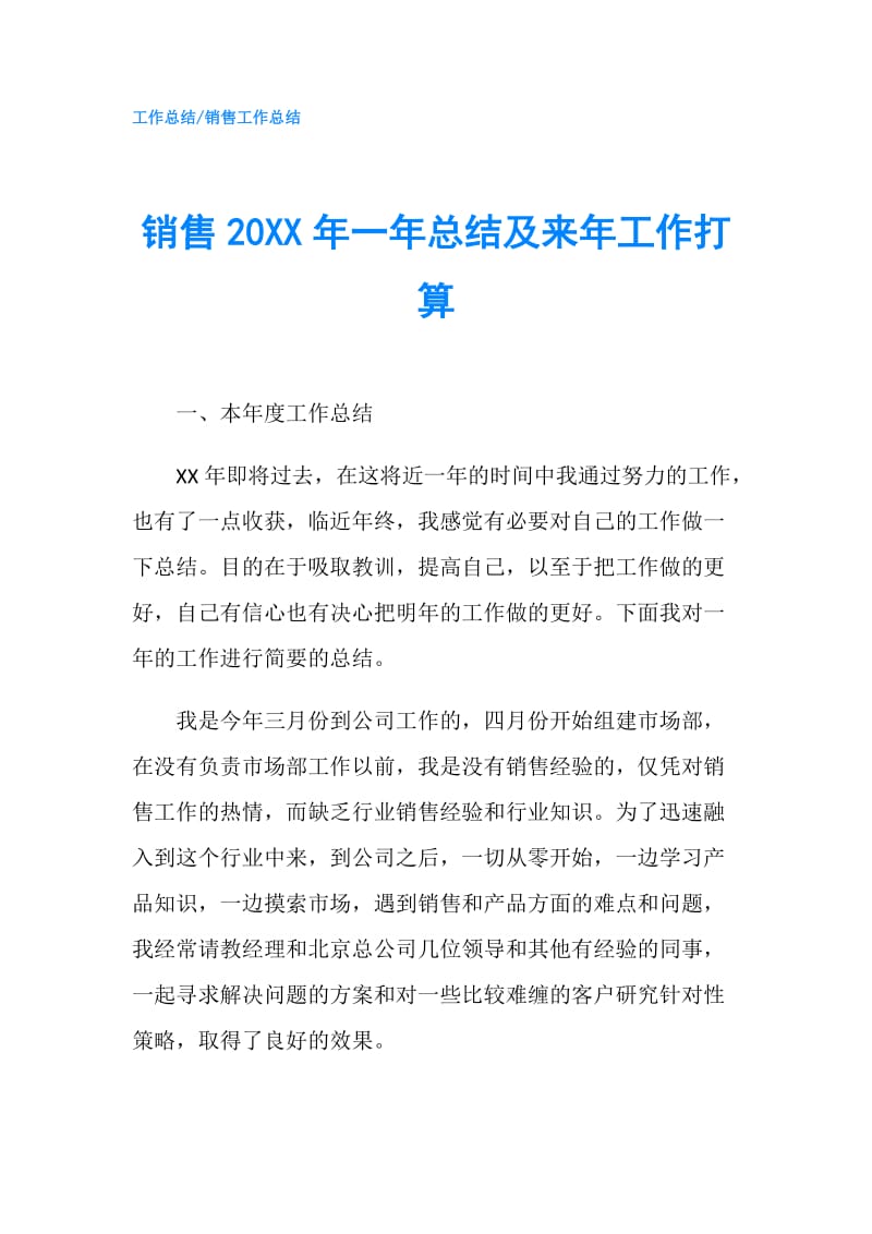 销售20XX年一年总结及来年工作打算.doc_第1页