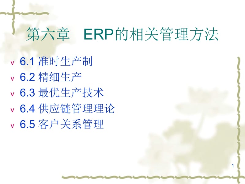 ERP的相关管理方法ppt课件_第1页