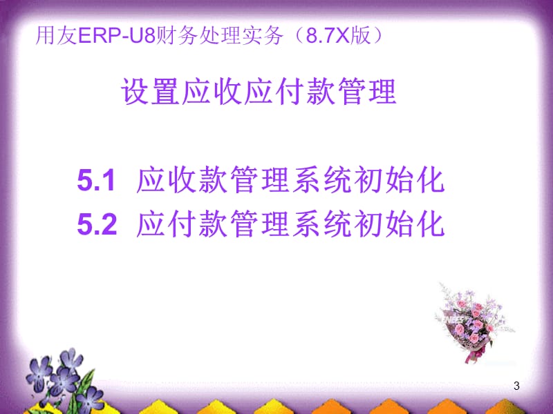 设置应收应付款管理ppt课件_第3页