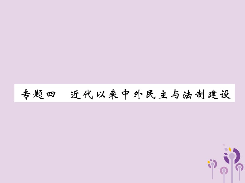 中考历史总复习第二编热点专题突破专题4近代以来中外民主与法制建设课件_第1页