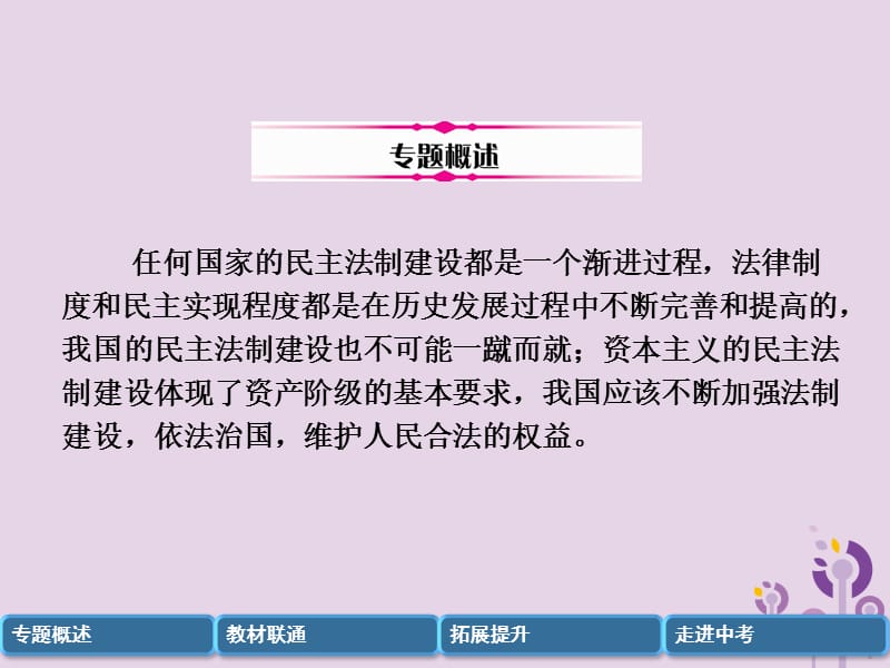 中考历史总复习第二编热点专题突破专题4近代以来中外民主与法制建设课件_第2页