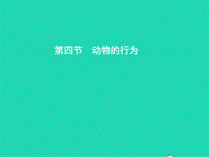 七年級生物上冊2.2.4動物的行為（第1課時先天性行為和學(xué)習(xí)行為）課件（新版）濟(jì)南版