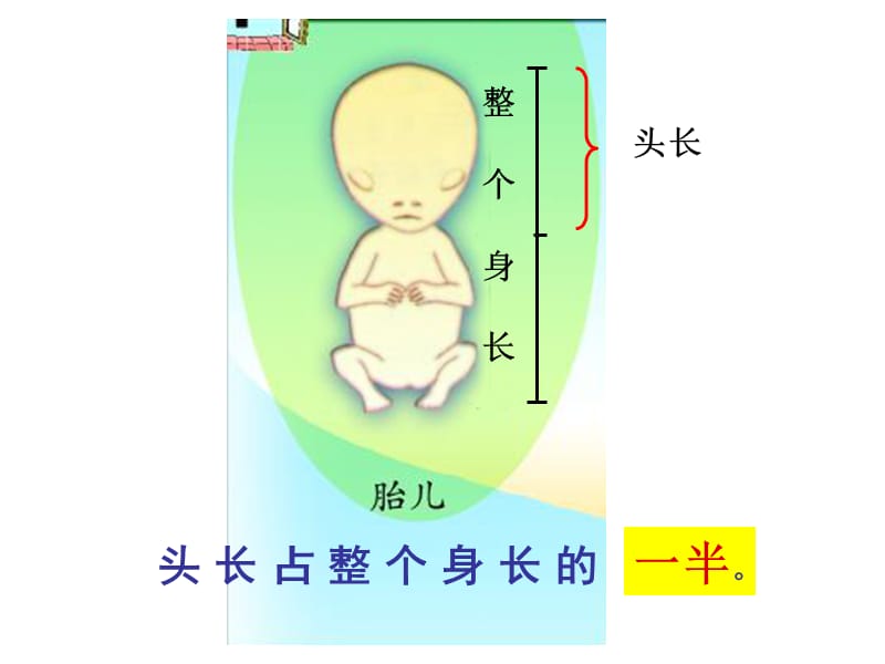 秋青岛版数学三上第九单元《我当小厨师 分数的初步认识》ppt课件2_第2页