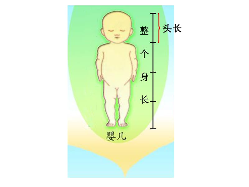 秋青岛版数学三上第九单元《我当小厨师 分数的初步认识》ppt课件2_第3页