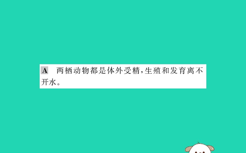 生物圈中生命的延续和发展第一章生物的生殖和发育3两栖动物的生殖和发育训练课件（新版）新人教版_第3页