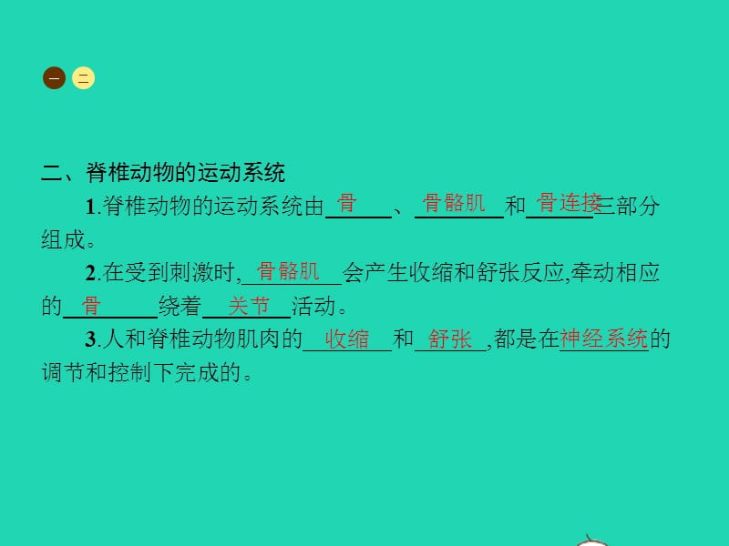 八年级生物上册17.2动物的运动依赖于一定的结构课件（新版）苏教版_第3页