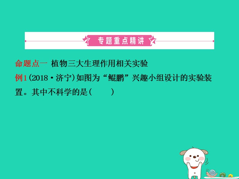 （江西专版）2019中考生物第2部分专题四绿色植物的三大生理作用复习课件_第2页