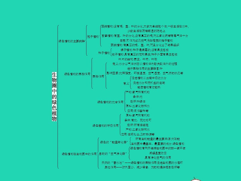 七年级生物上册第二单元第一章生物圈中的绿色植物单元整合课件（新版）济南版_第2页