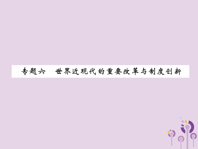 中考历史总复习第二编热点专题速查篇专题6世界近现代的重要改革与制度创新（精练）课件_第1页