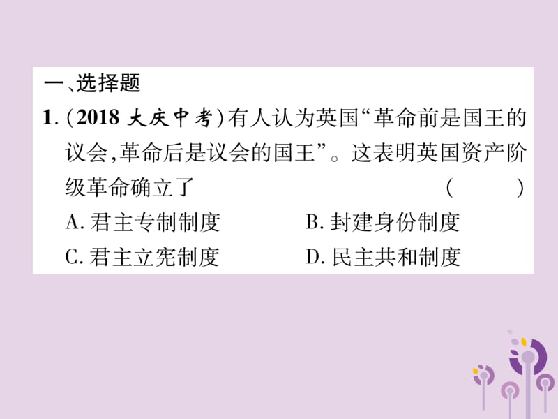 中考历史总复习第二编热点专题速查篇专题6世界近现代的重要改革与制度创新（精练）课件_第2页