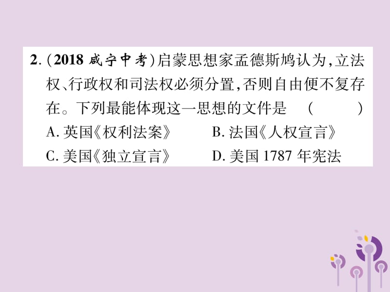 中考历史总复习第二编热点专题速查篇专题6世界近现代的重要改革与制度创新（精练）课件_第3页