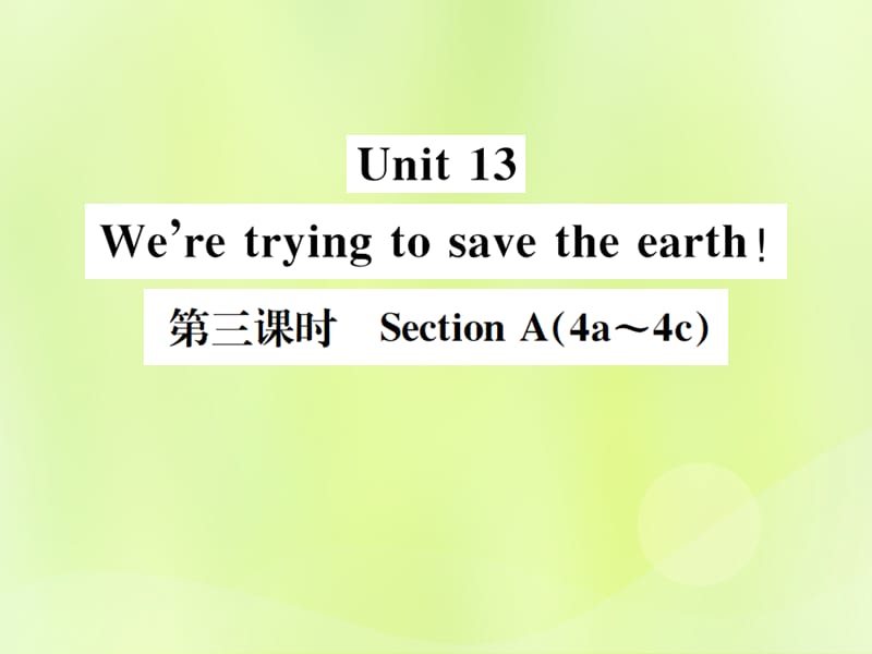 九年级英语全册Unit13We’retryingtosavetheearth第3课时习题课件31_第1页