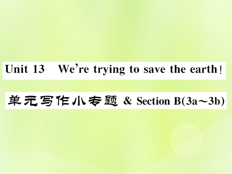 九年级英语Unit13We’retryingtosavetheearth写作小专题习题课件28_第1页