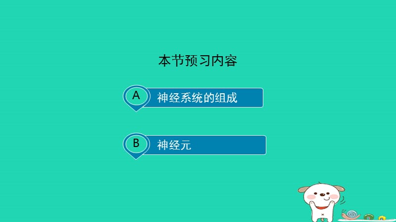 七年级生物下册4.6.2《神经系统的组成》预习课件（新版）新人教版_第3页