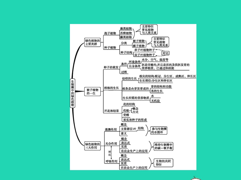 中考生物专题3生物圈中的绿色植物课件_第2页