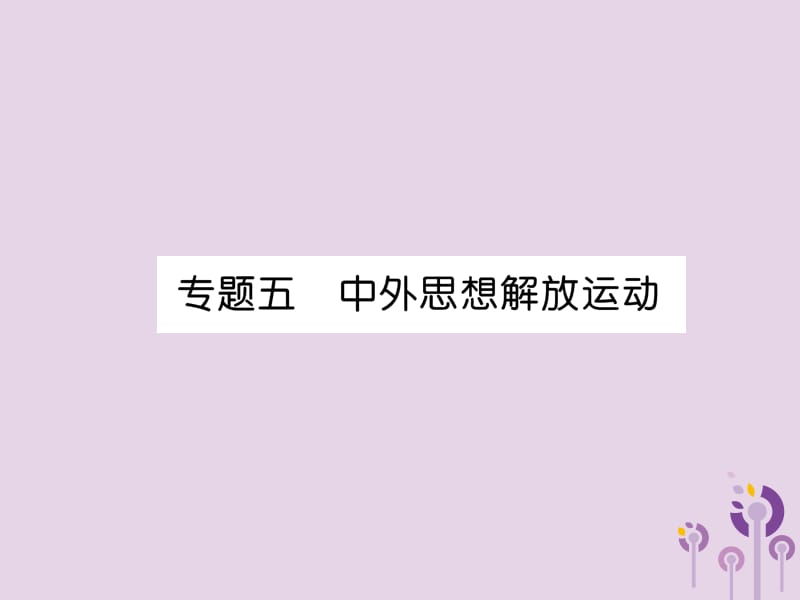 中考历史总复习第二编热点专题速查篇专题5中外思想解放运动（精讲）课件_第1页