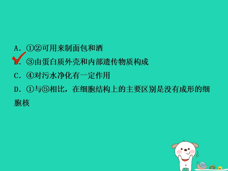 （江西专版）2019中考生物第2部分专题十微生物与生物技术复习课件_第3页