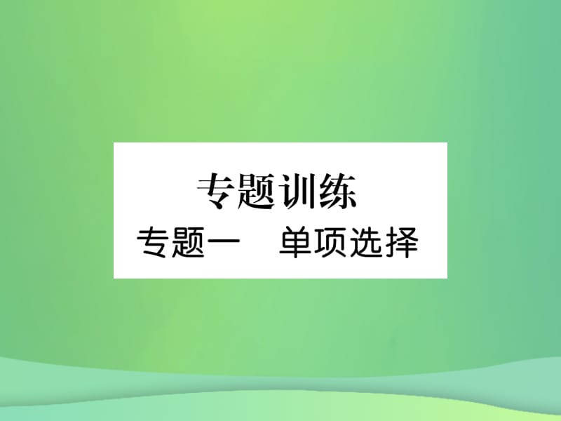 九年级英语专题训练专题1单项选择课件93_第1页