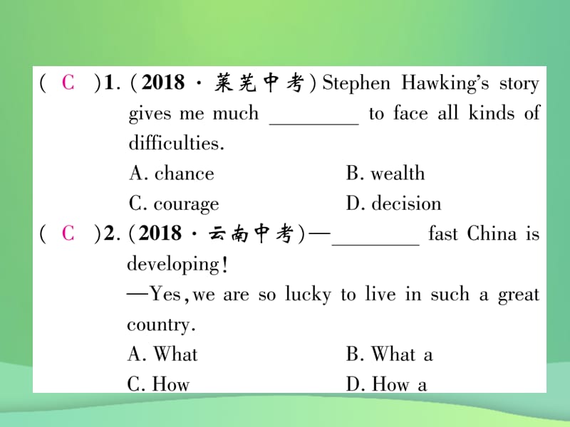 九年级英语专题训练专题1单项选择课件93_第2页