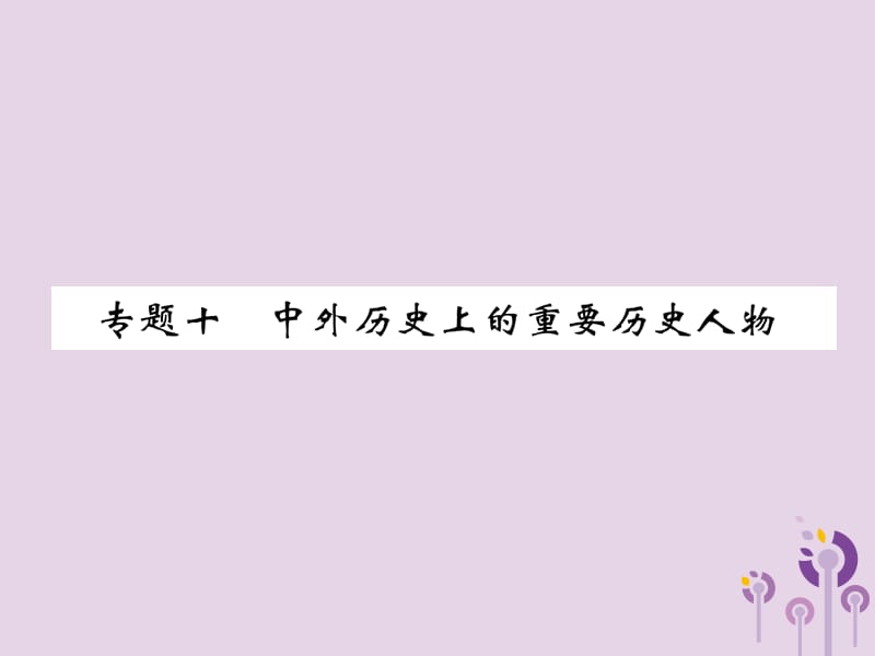 中考历史总复习第二编热点专题速查篇专题10中外历史上的重要历史人物（精练）课件_第1页